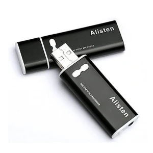 8gb slaptas mini diktofonas usb rakte ( atmintinė)