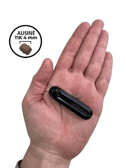 ausine egzaminams be rites