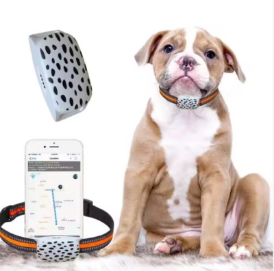 gps sunims katems antkaklis su gps