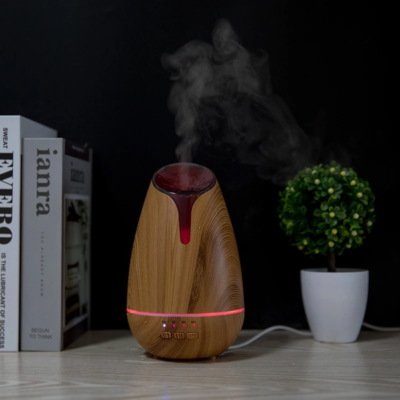 mini kamera slapta kamera alieju garintuvas difuzorius