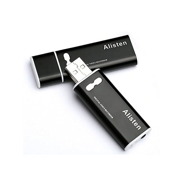 8gb slaptas mini diktofonas usb rakte ( atmintinė)