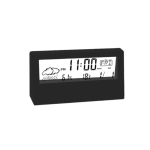 slapta kamera termometras